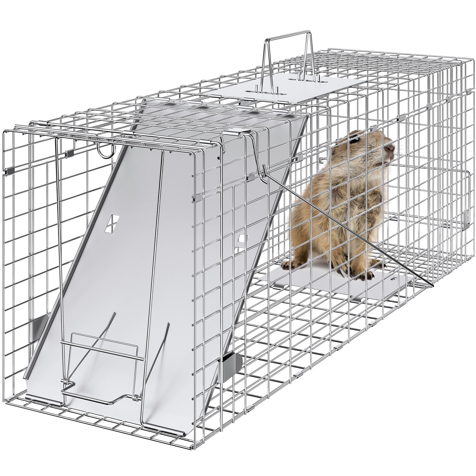 Humane Cat Trap Galvanized Iron Folding Cage For Stray Animals_voghion.com